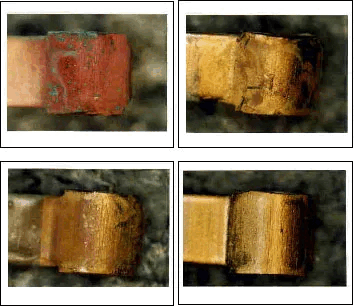 ���������������ʎʐ^